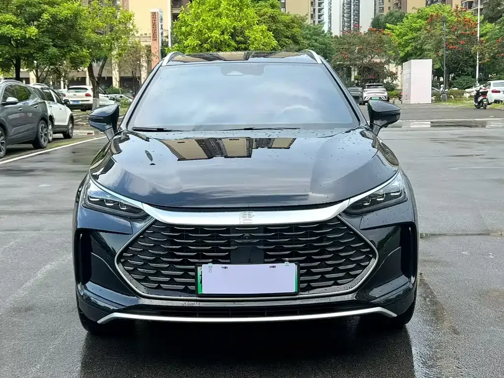 BYD Tang New Energy — фото 10