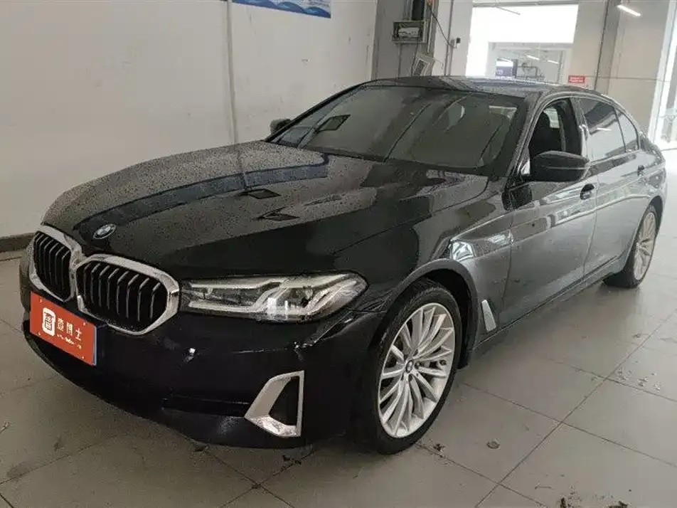 BMW 5 Series 2021 из CN, фото 1