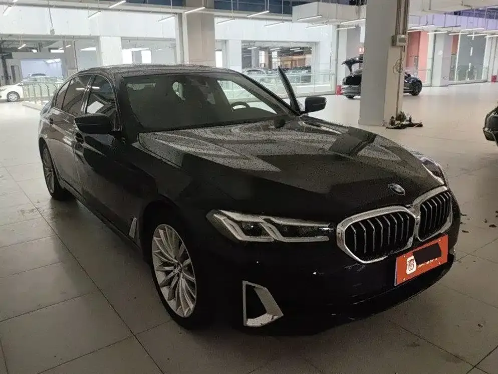 BMW 5 Series 2021 из CN, фото 4