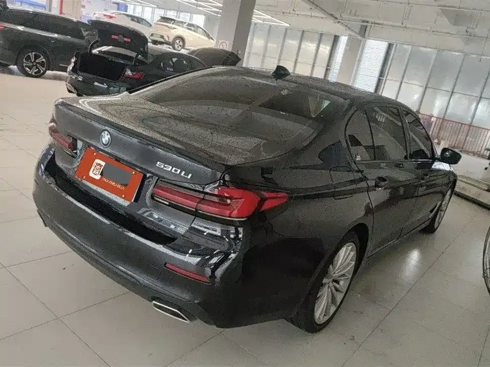 BMW 5 Series 2021 из CN, фото 8
