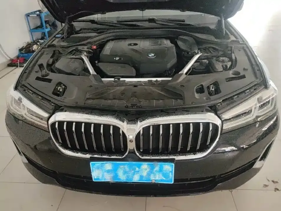 BMW 5 Series 2021 из CN, фото 6