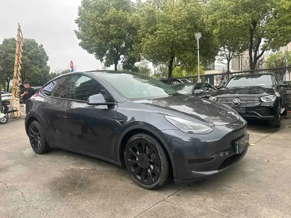 Tesla Model Y — фото 1