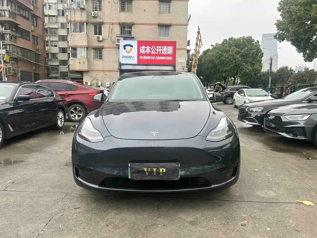 Tesla Model Y — фото 6