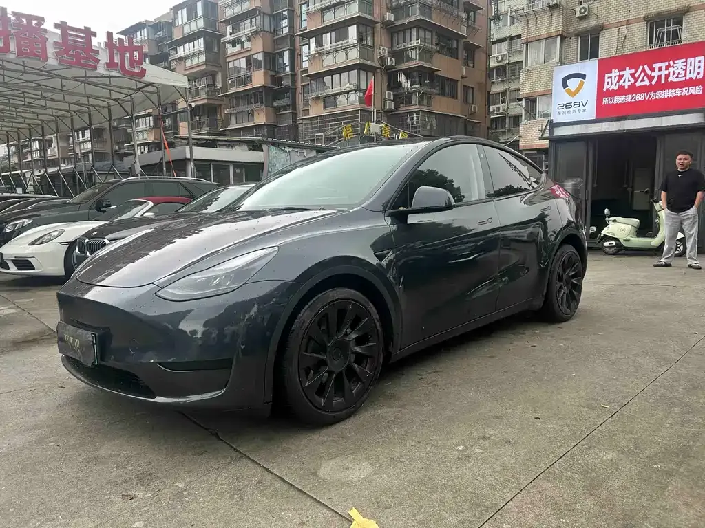Tesla Model Y — фото 9