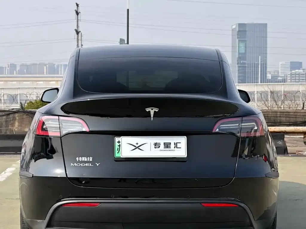 Tesla Model Y — фото 7