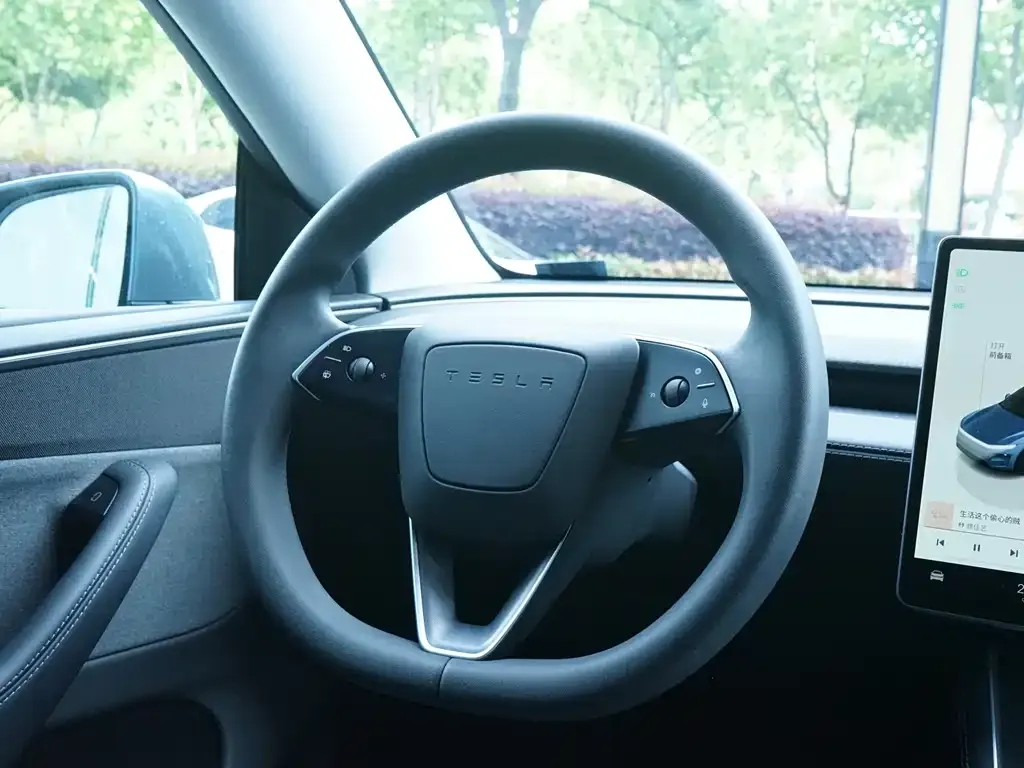 Tesla Model Y 2025 из CN, фото 5