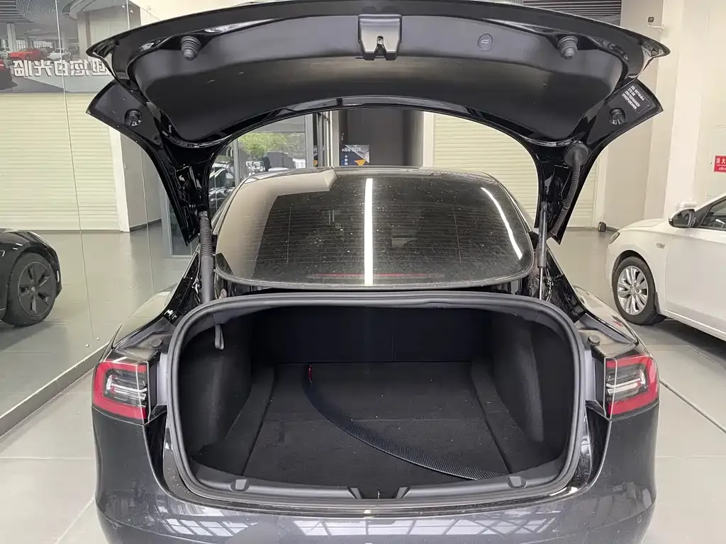 Tesla Model 3 — фото 3
