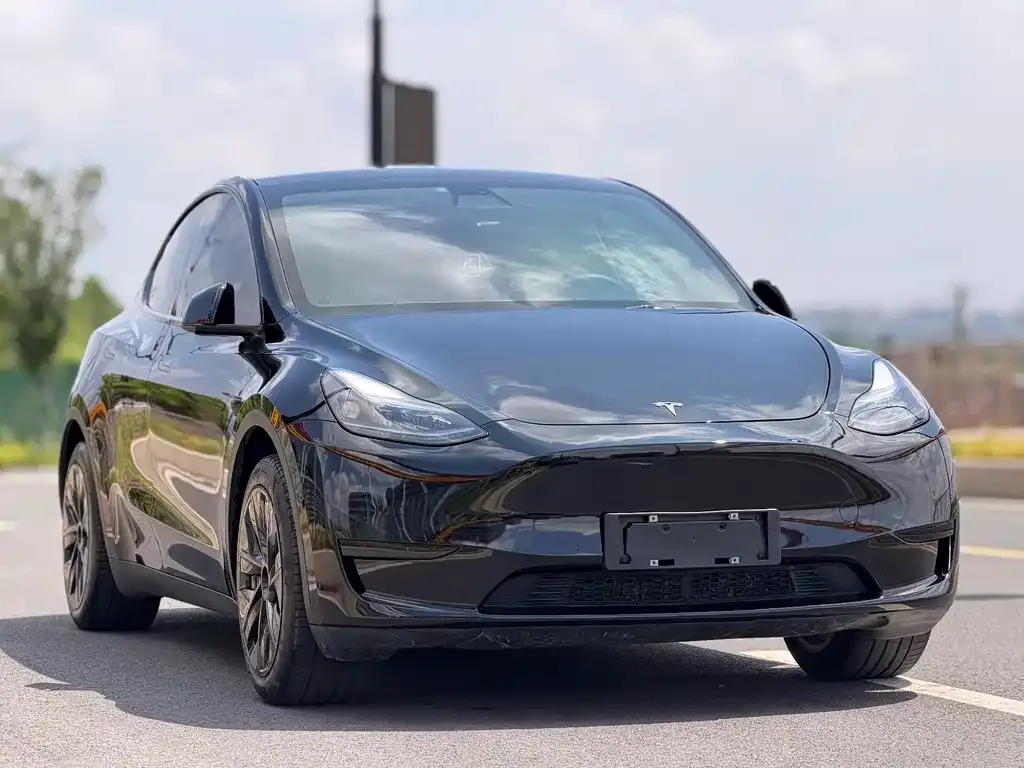 Tesla Model Y — фото 8