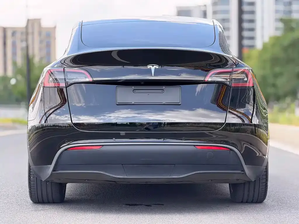 Tesla Model Y — фото 6