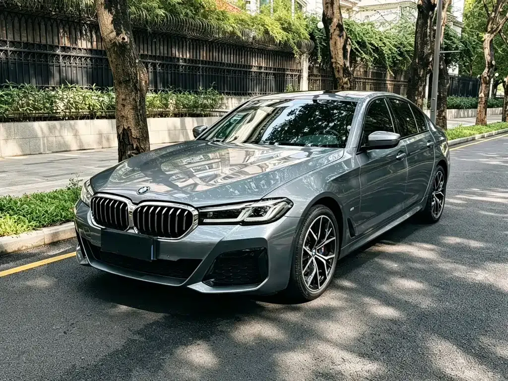 BMW 5 Series (Import) — фото 1