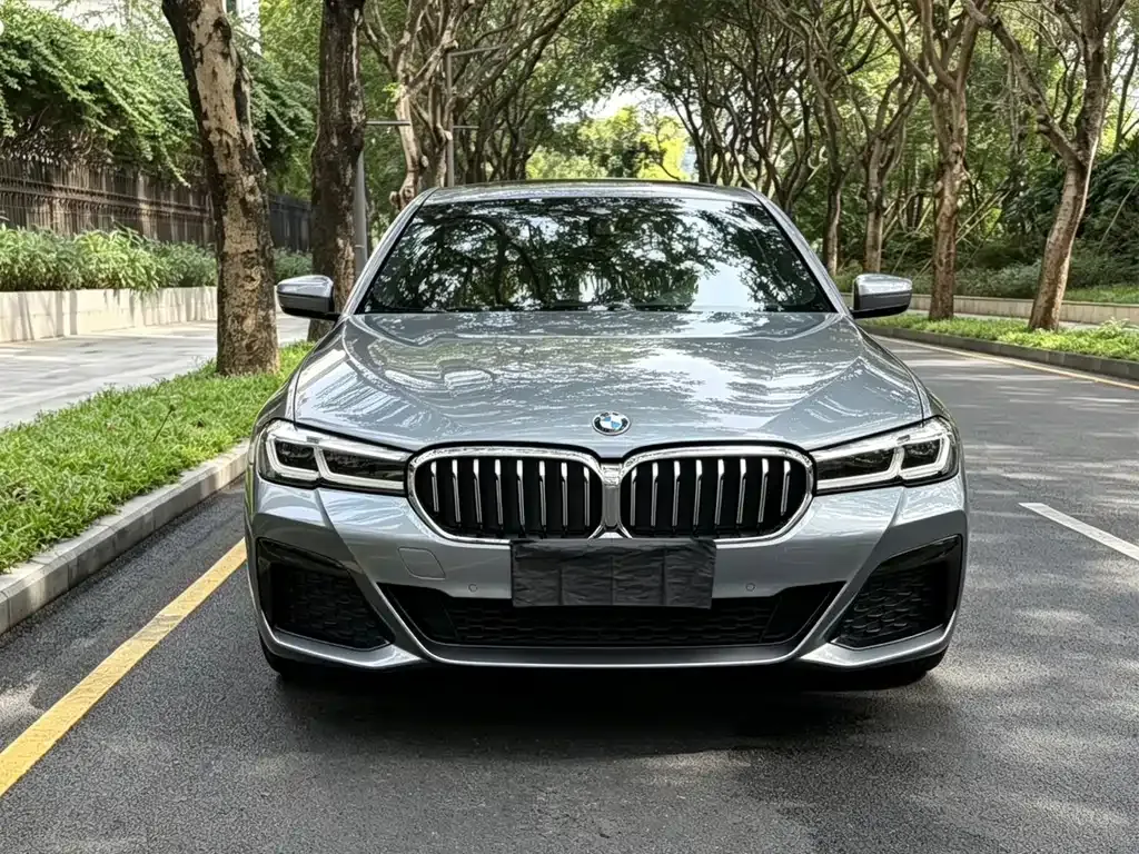 BMW 5 Series (Import) — фото 7