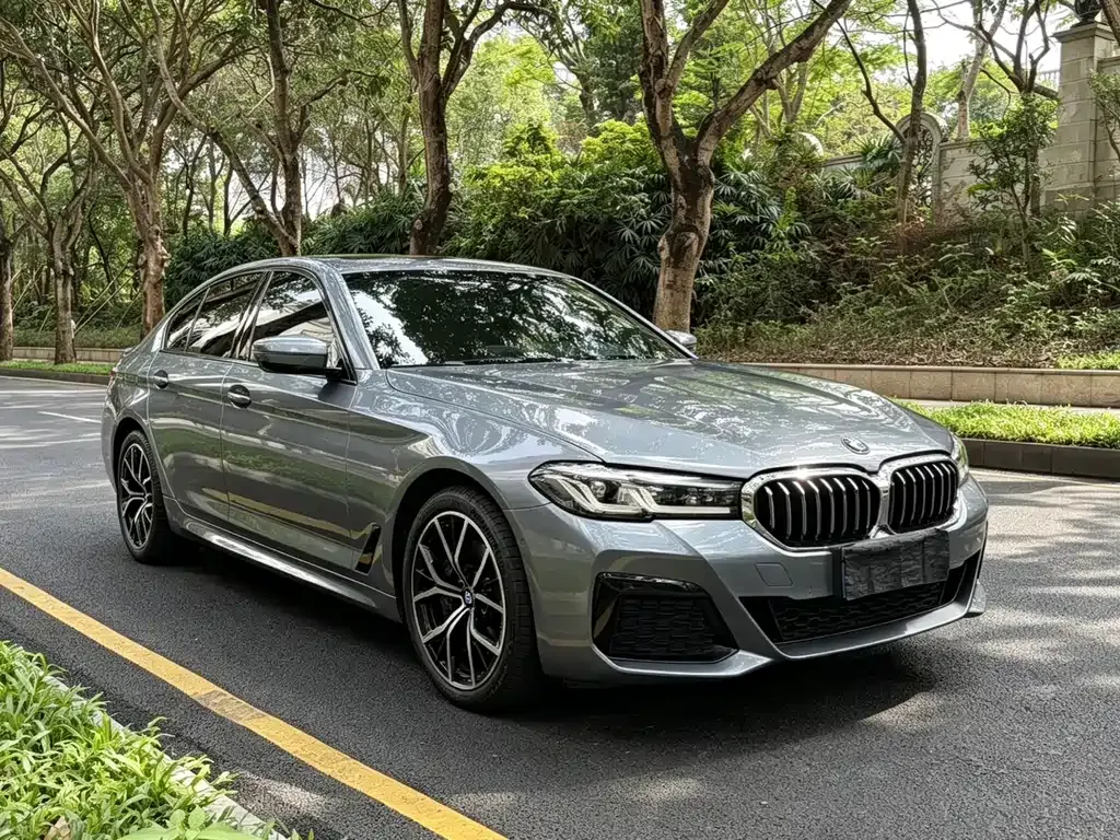 BMW 5 Series (Import) — фото 10