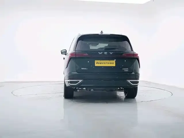 Wey Lanshan — фото 7
