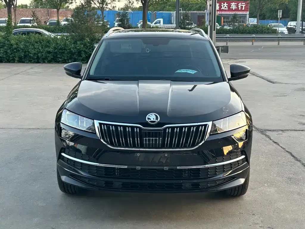 Skoda Karoq — фото 8