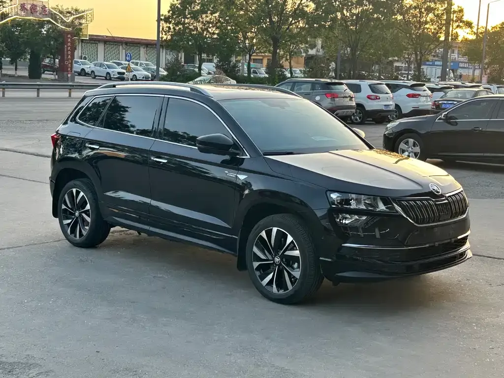 Skoda Karoq — фото 10