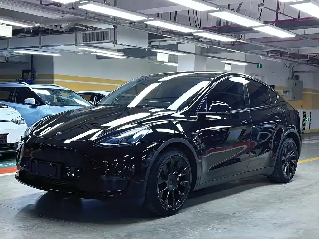 Tesla Model Y — фото 1