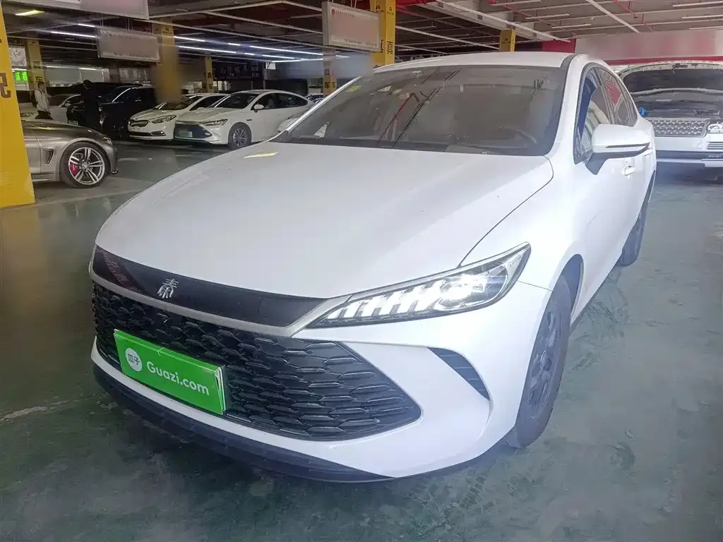 BYD Qin PLUS — фото 1