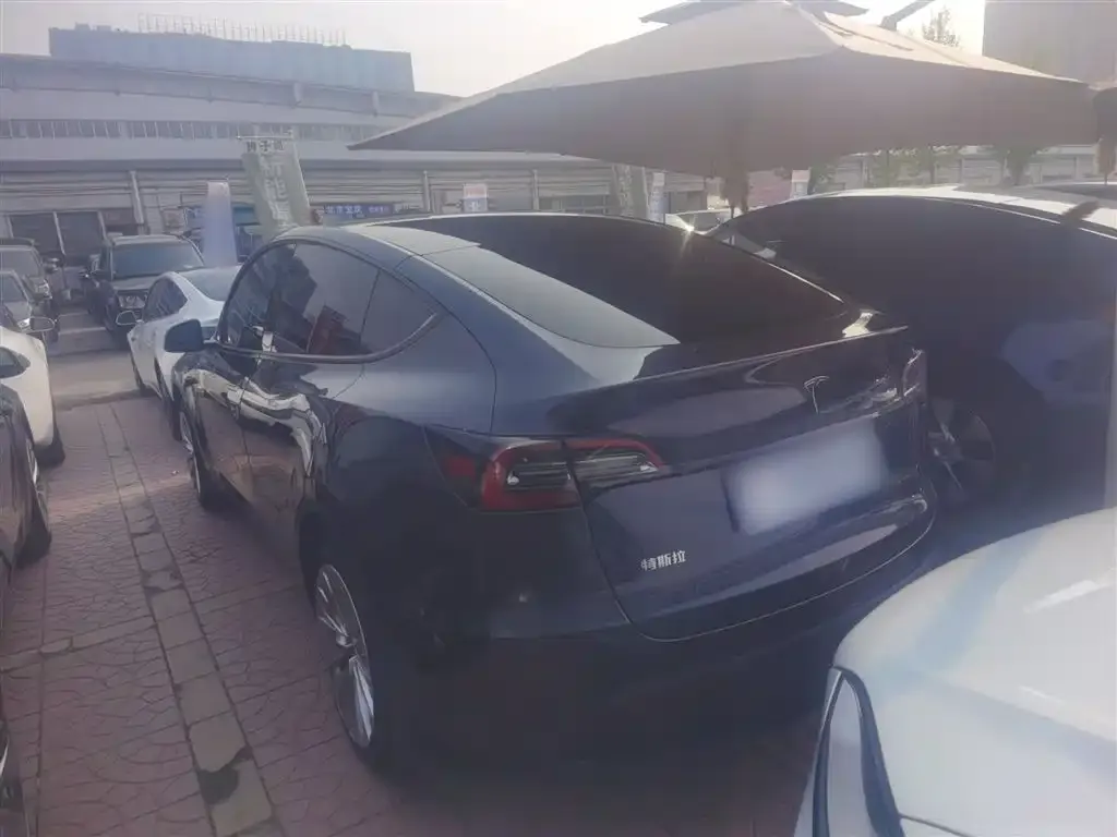 Tesla Model Y — фото 7