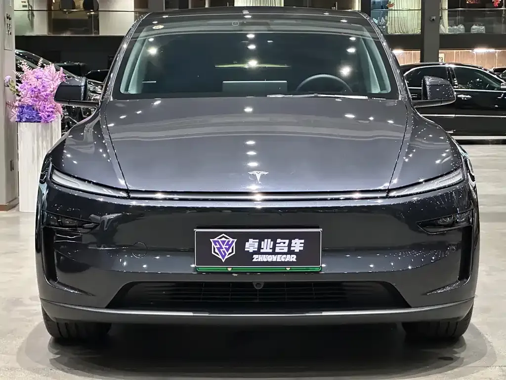 Tesla Model Y — фото 10