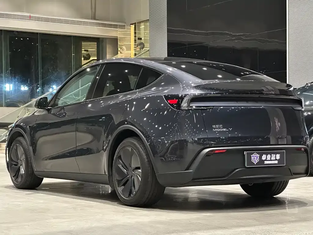Tesla Model Y — фото 8