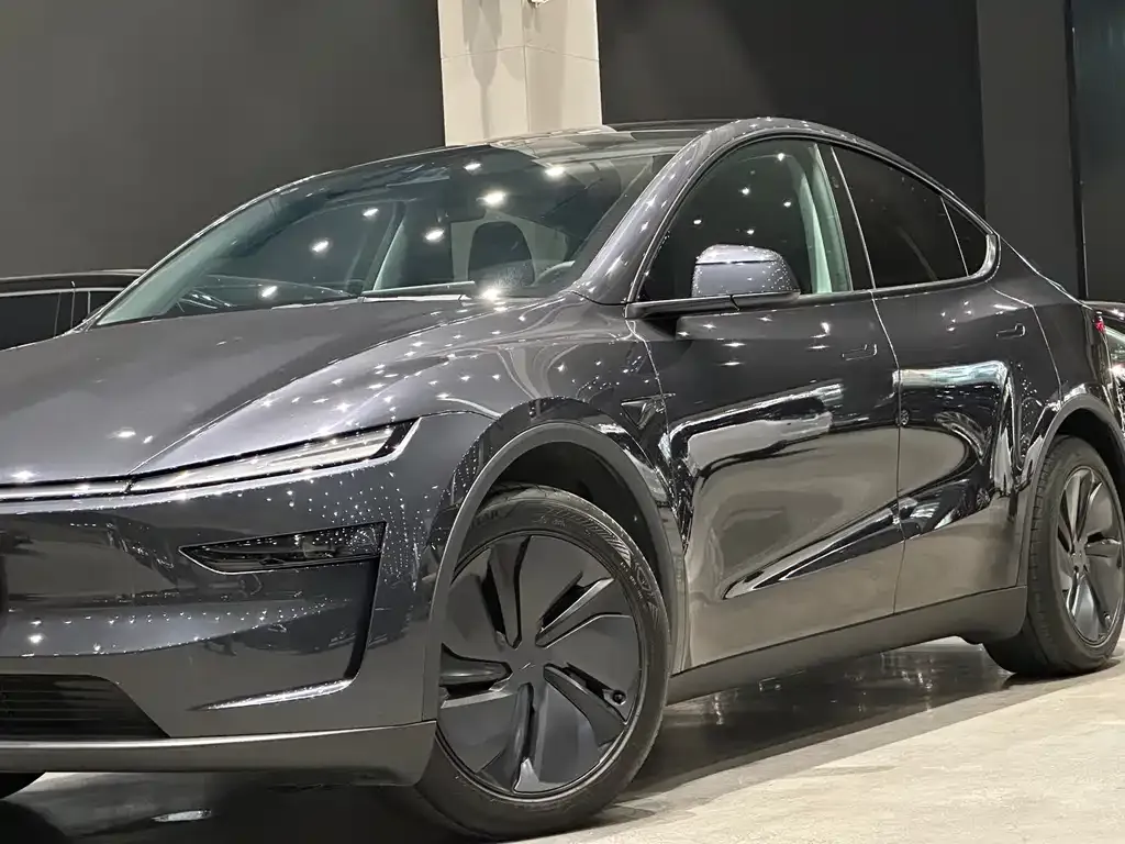 Tesla Model Y — фото 7