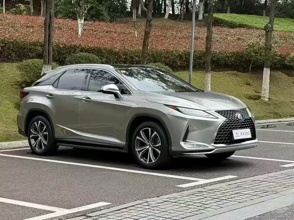 Lexus RX — фото 1