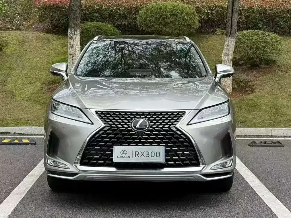 Lexus RX — фото 6