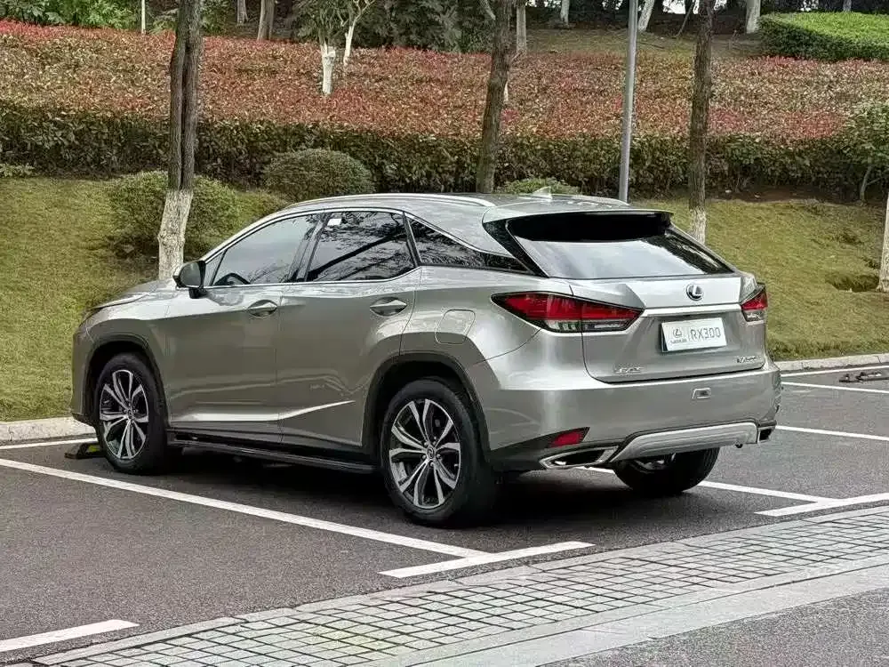 Lexus RX — фото 5