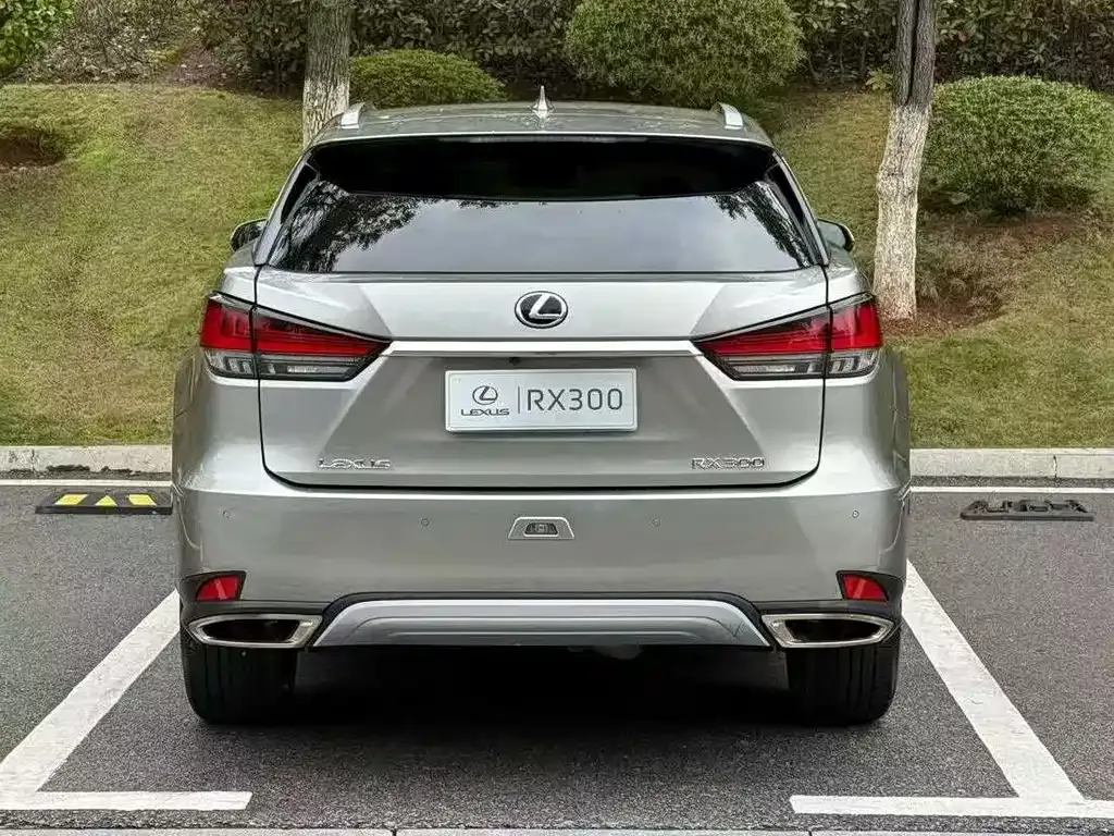 Lexus RX — фото 7
