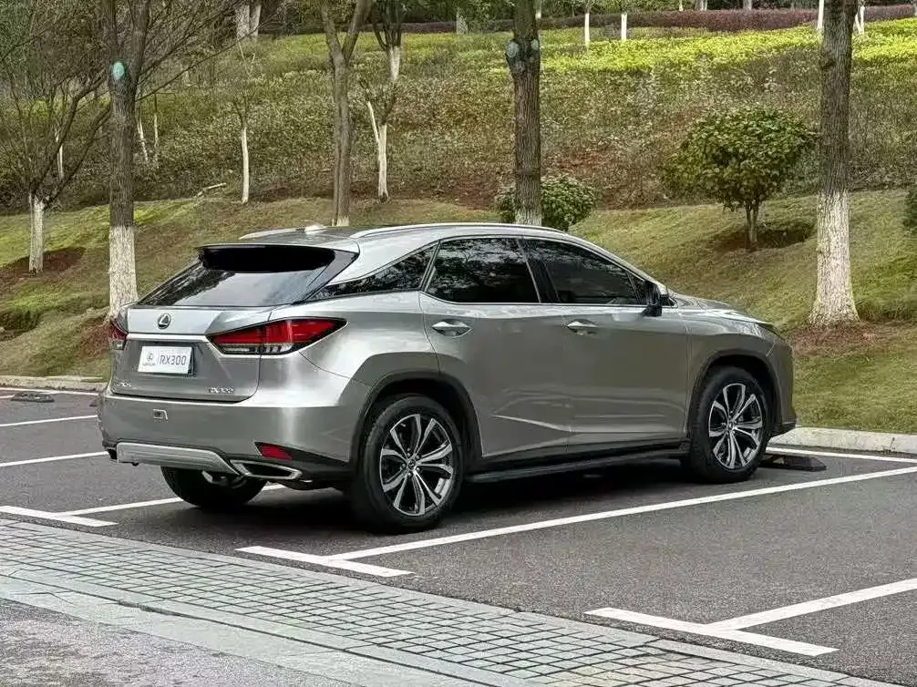 Lexus RX — фото 8