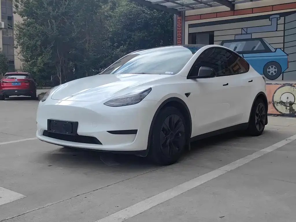 Tesla Model Y — фото 1