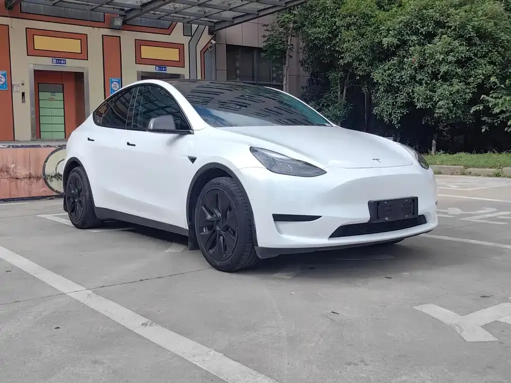 Tesla Model Y — фото 10
