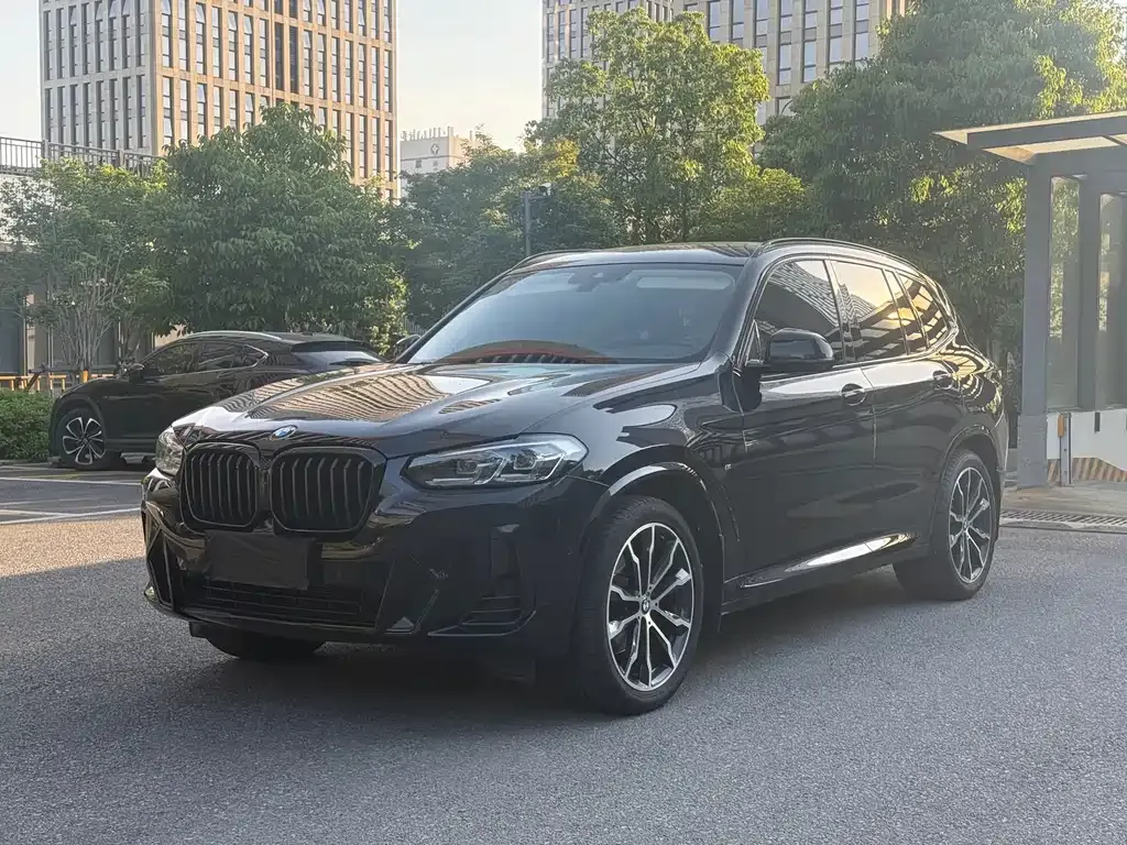 BMW X3 — фото 1