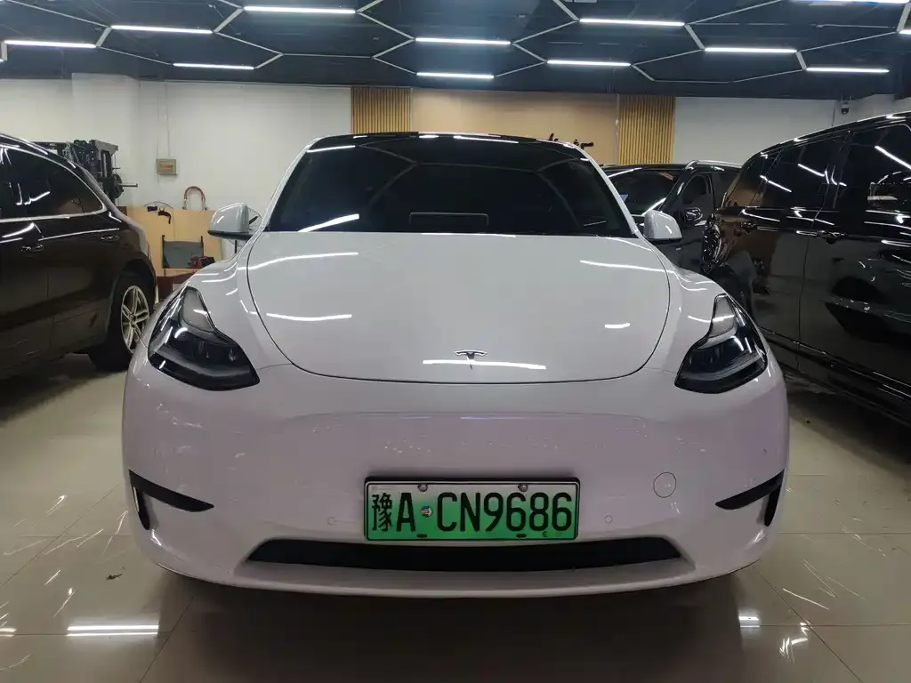 Tesla Model Y — фото 2
