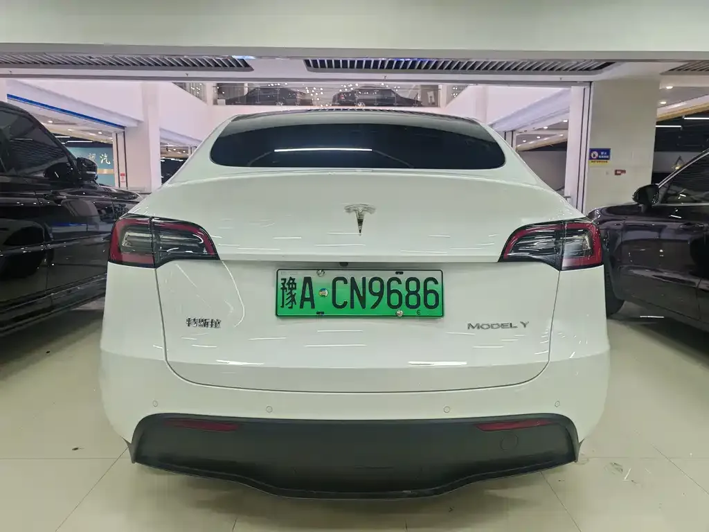 Tesla Model Y — фото 9