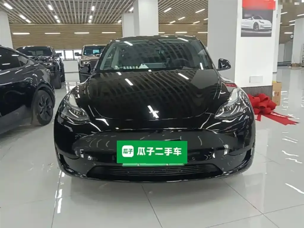 Tesla Model Y — фото 9