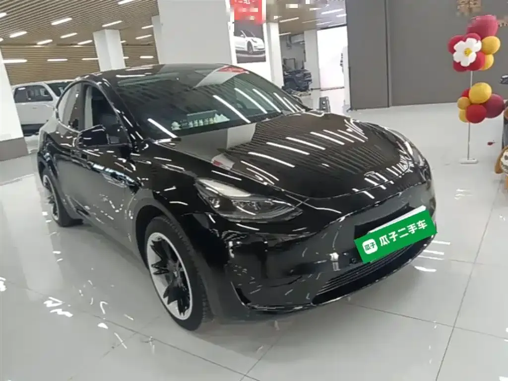 Tesla Model Y — фото 2