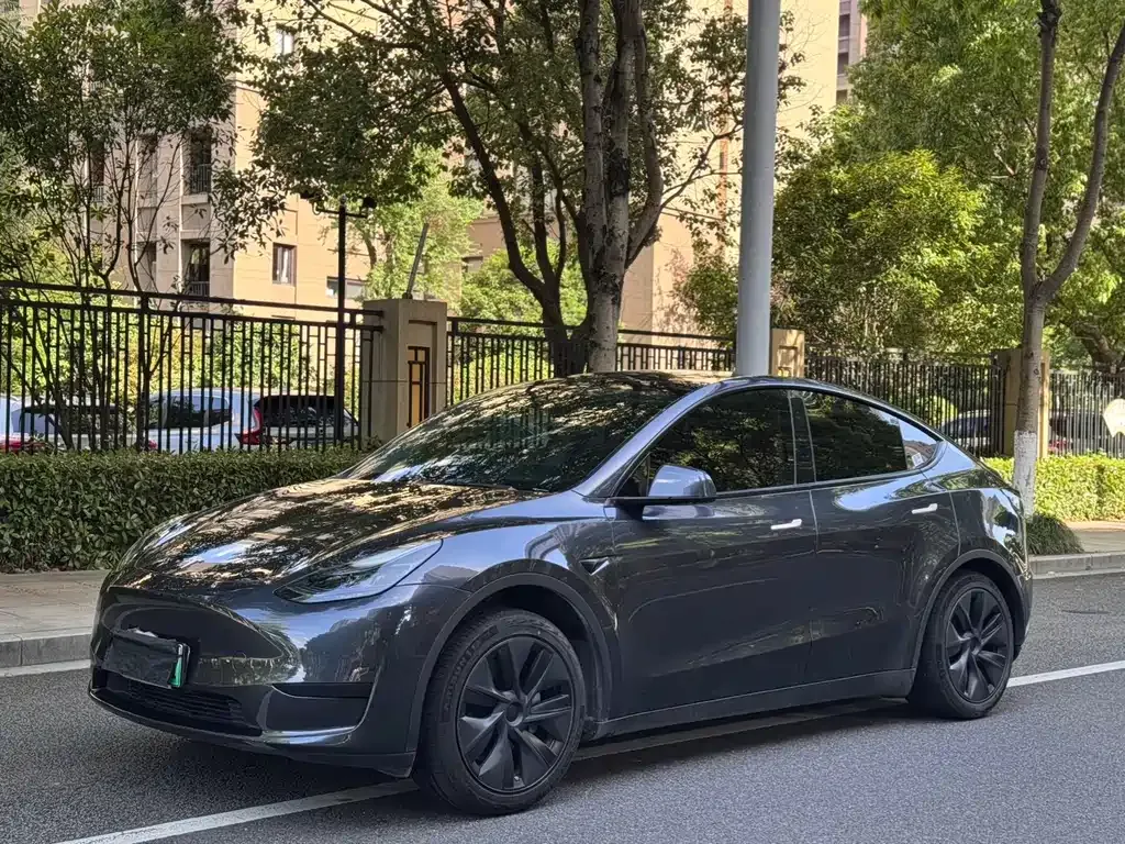 Tesla Model Y — фото 1