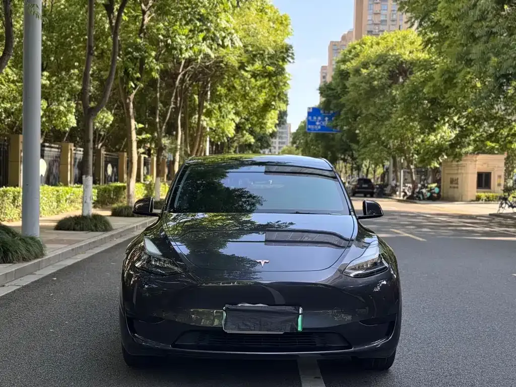 Tesla Model Y — фото 9