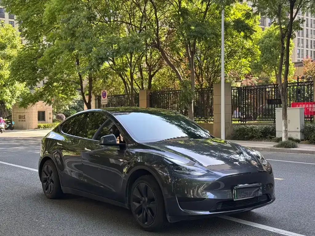 Tesla Model Y — фото 10