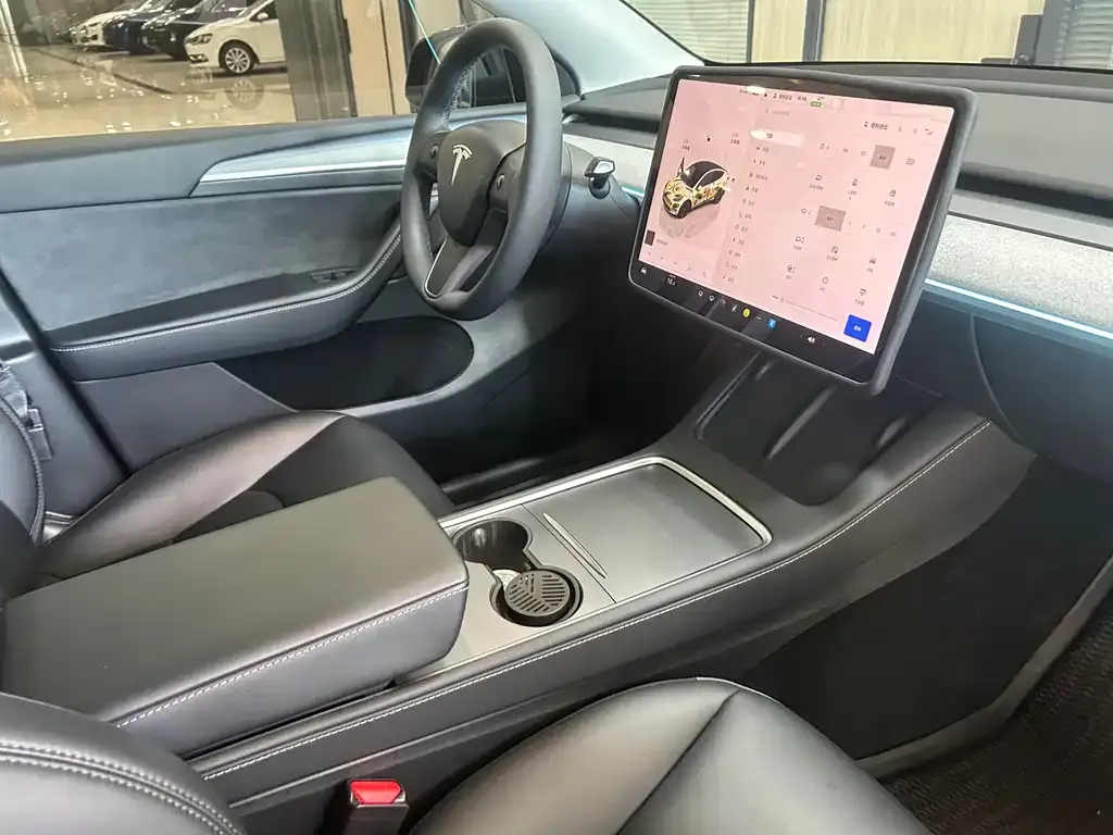 Tesla Model Y — фото 8