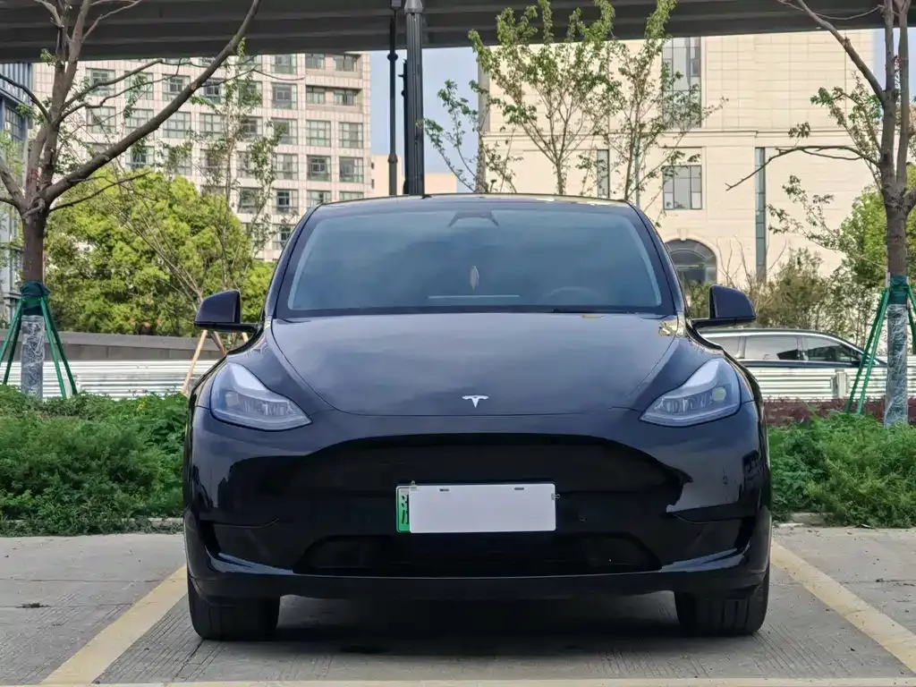 Tesla Model Y — фото 10