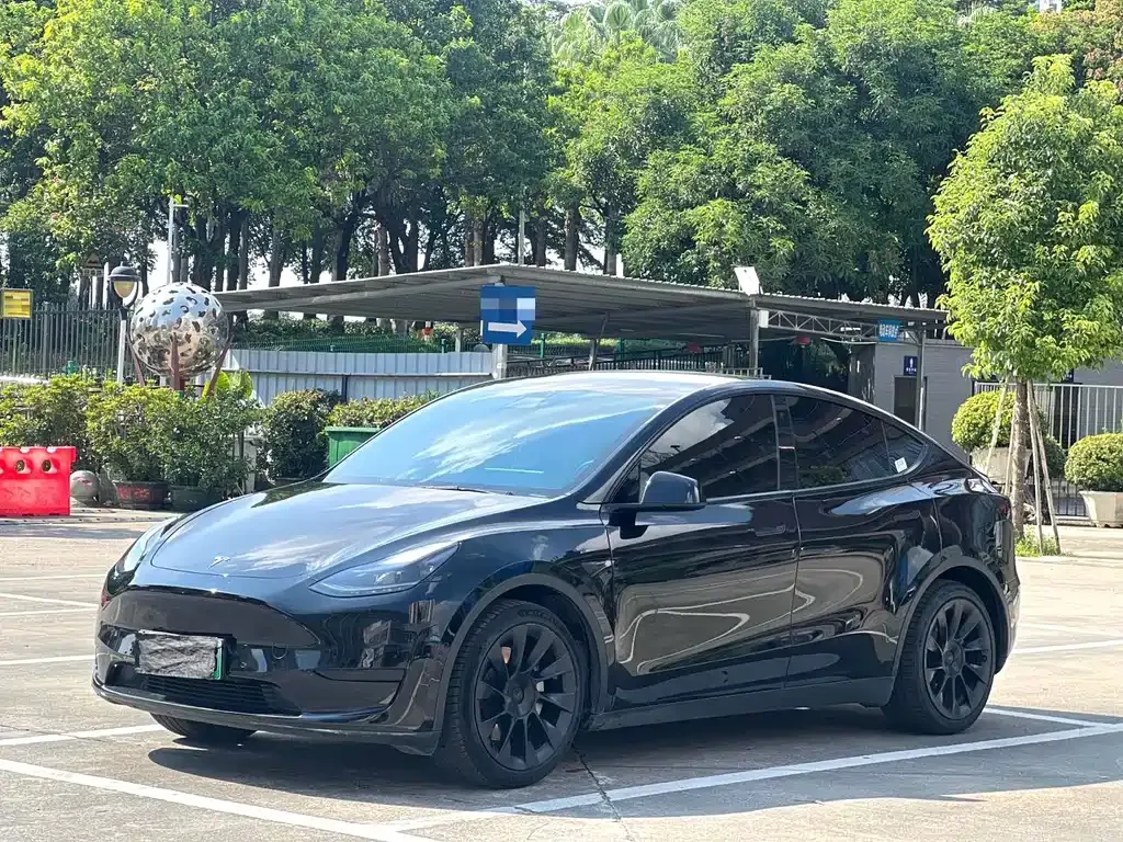 Tesla Model Y — фото 1