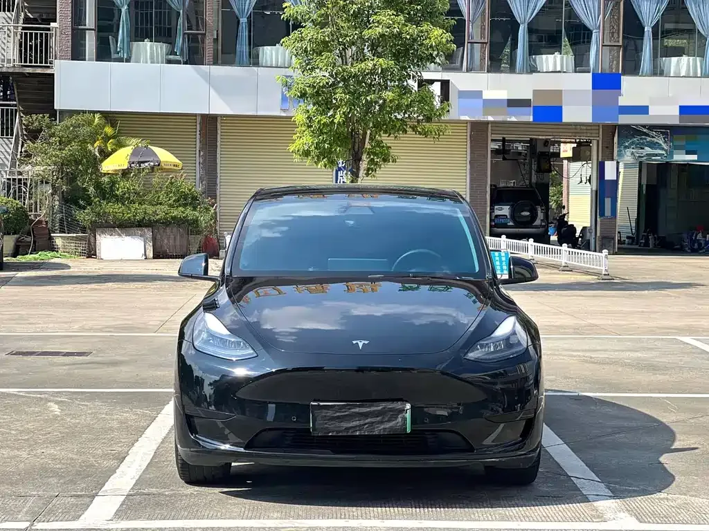 Tesla Model Y — фото 9