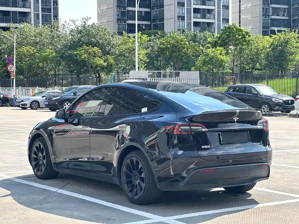 Tesla Model Y — фото 8