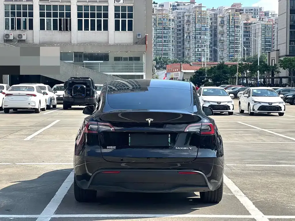 Tesla Model Y — фото 4