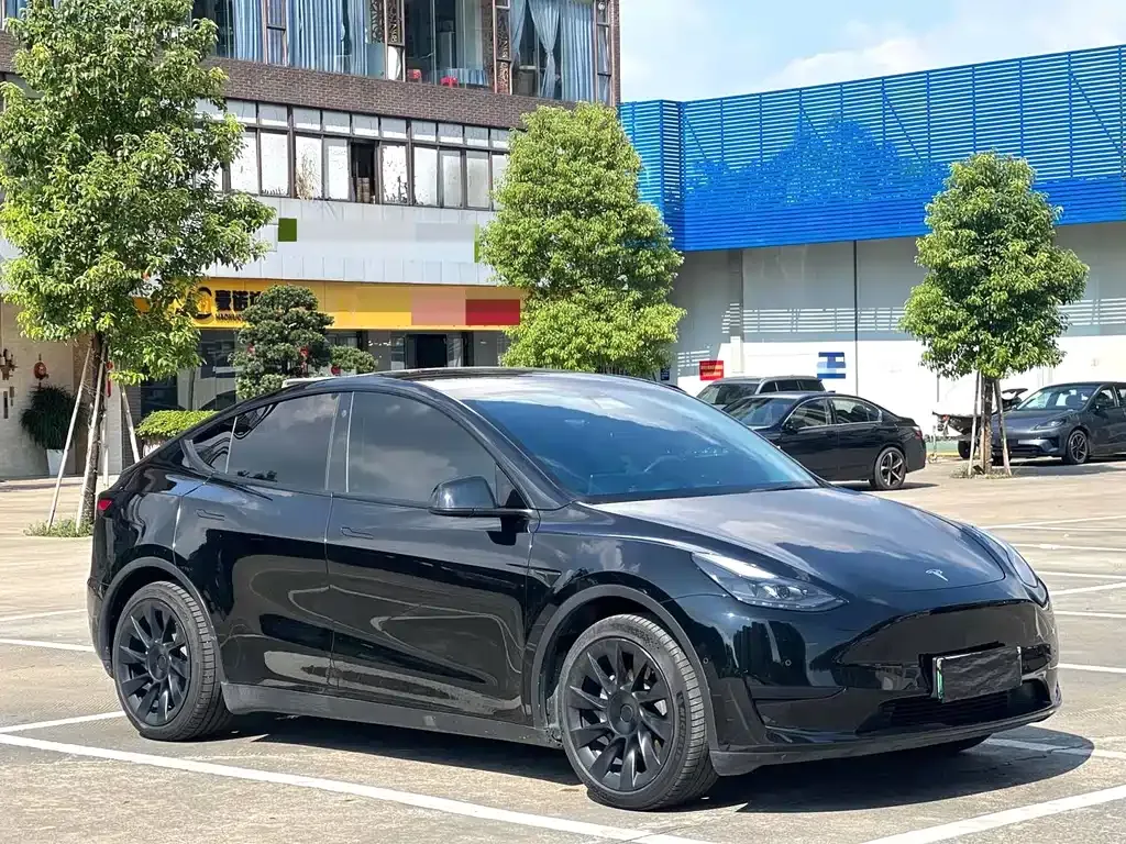 Tesla Model Y — фото 10