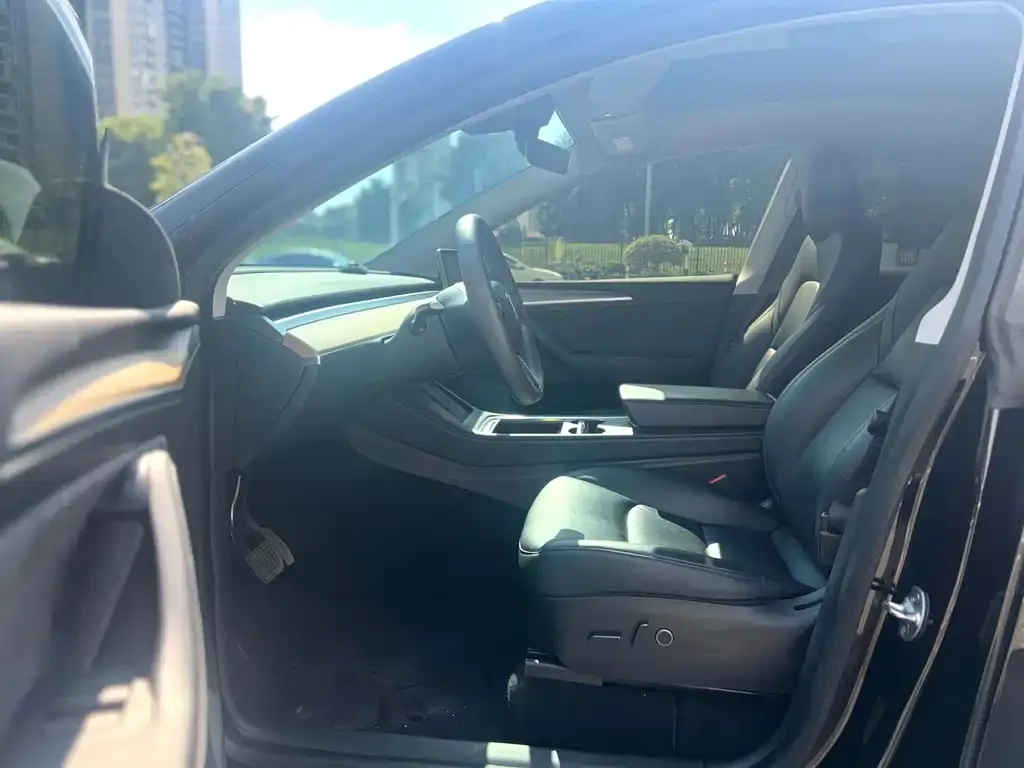 Tesla Model Y — фото 2