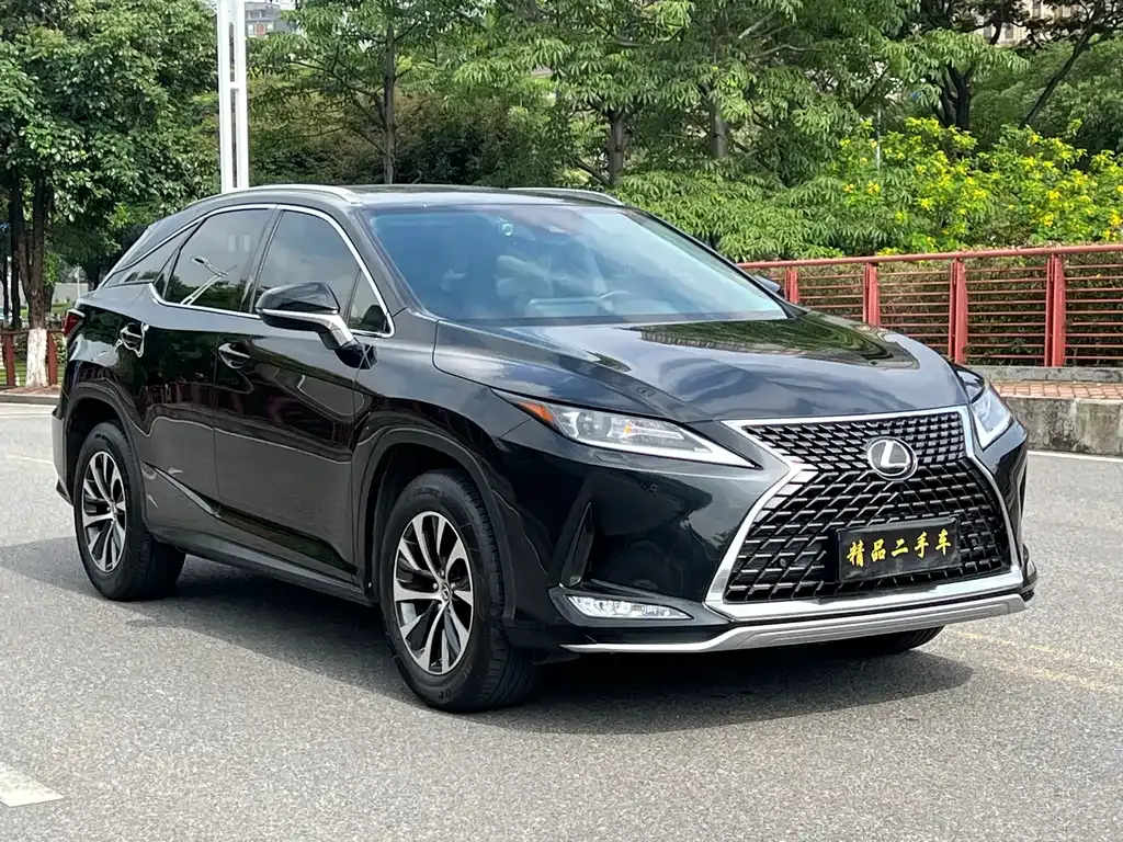 Lexus RX — фото 8