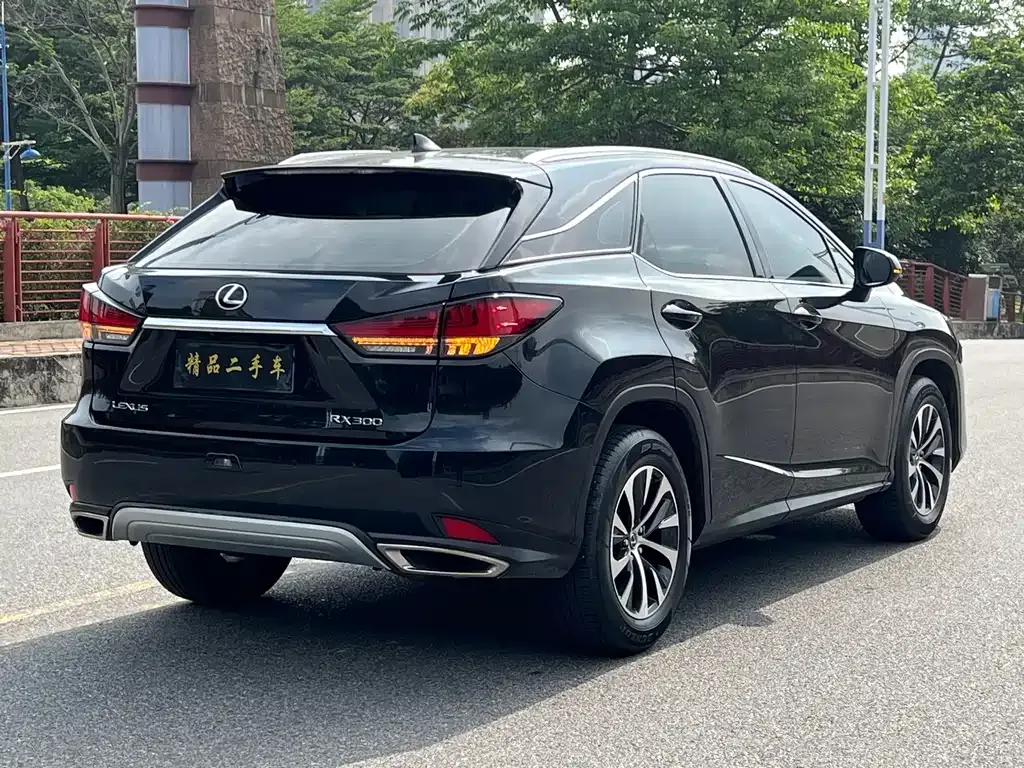 Lexus RX — фото 3